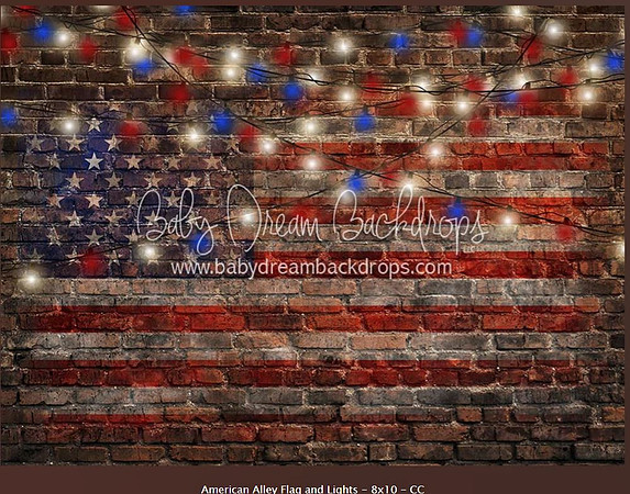 B23- American Alley Flag & Lights