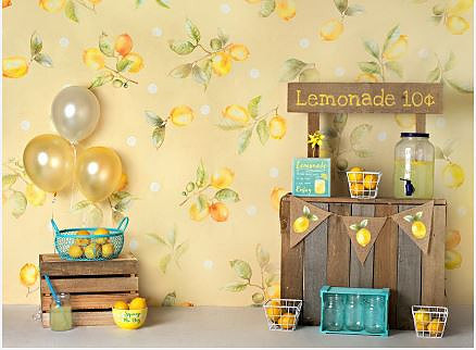 B45- Lemonade Way (double side)