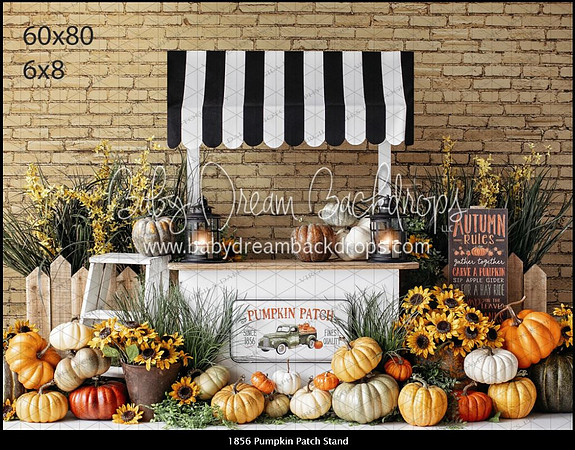 B88- Pumpkin Patch Stand