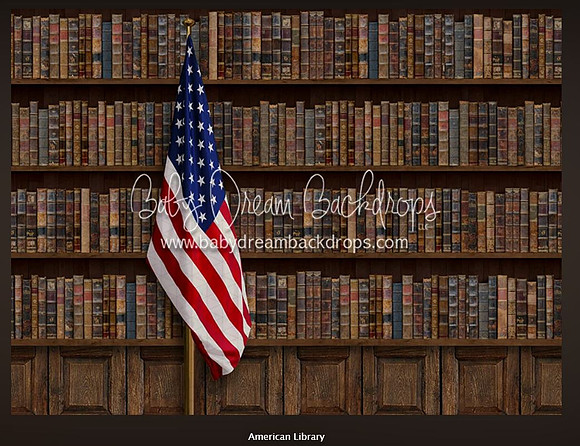 C11- American Library