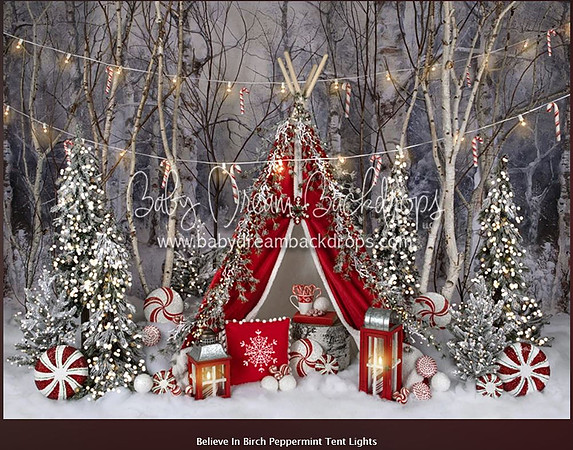 C12-Believe in Birch Peppermint Tent Lights