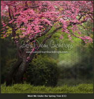 D7- Meet Me Under the Spring Tree