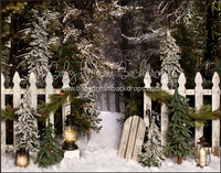 D21- Place in the Pines Entry