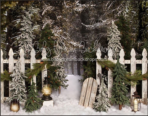 D21- Place in the Pines Entry