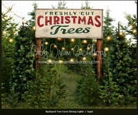 D20- Tree Farm with Lights & Sign