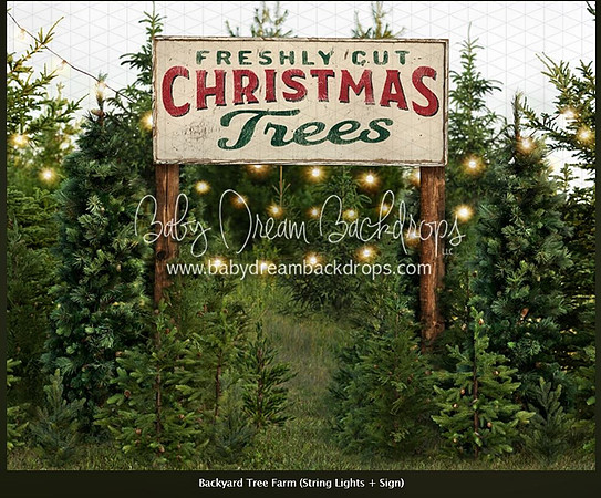 D20- Tree Farm with Lights & Sign