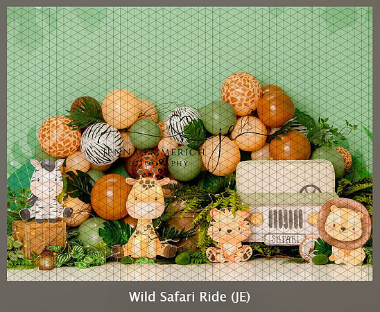 B100- Wild Safari Ride
