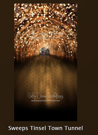 D 31- Tinsel Town Tunnel