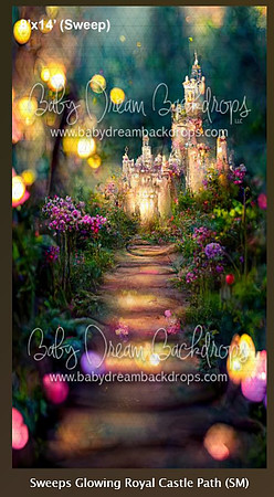 D 30- Glowing Royal Castle Path