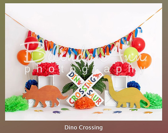 B107- dino crossing