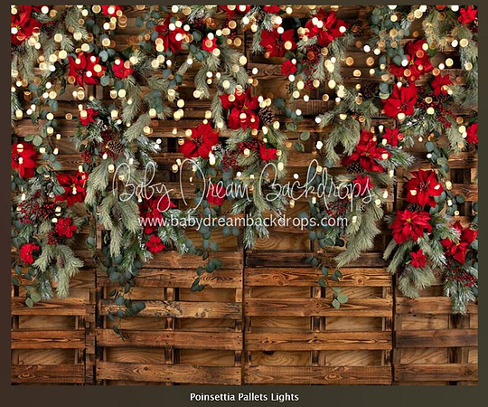 D 36- Poinsettia Pallets Lights