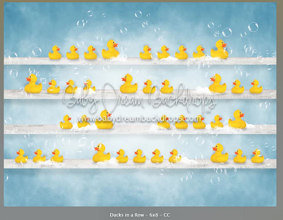 B110- Ducks in a Row